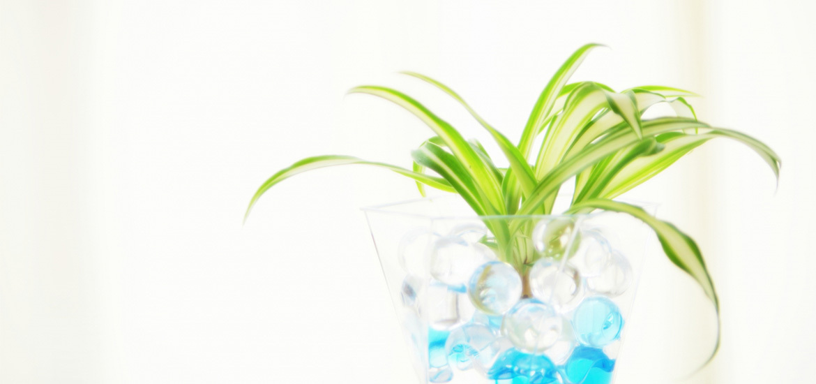 堺市北区百舌鳥梅北町 内科 小児科 皮膚科